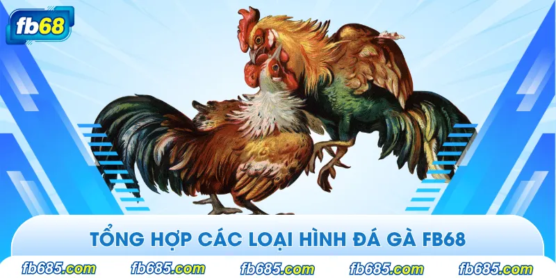 Các loại hình đá gà tại FB68